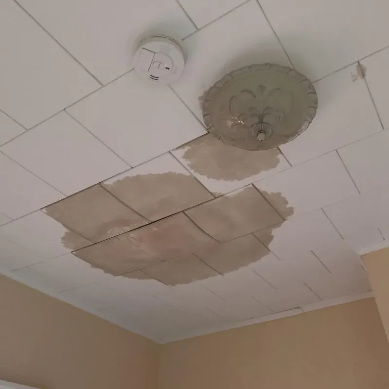 Ceiling Water Damage Repair in Woodrow, NY